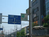 jpg image