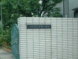 jpg image