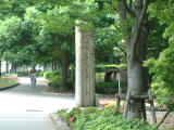 jpg image